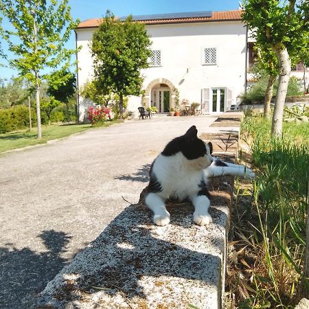 Le Piracante Caiazzo Eksteriør bilde