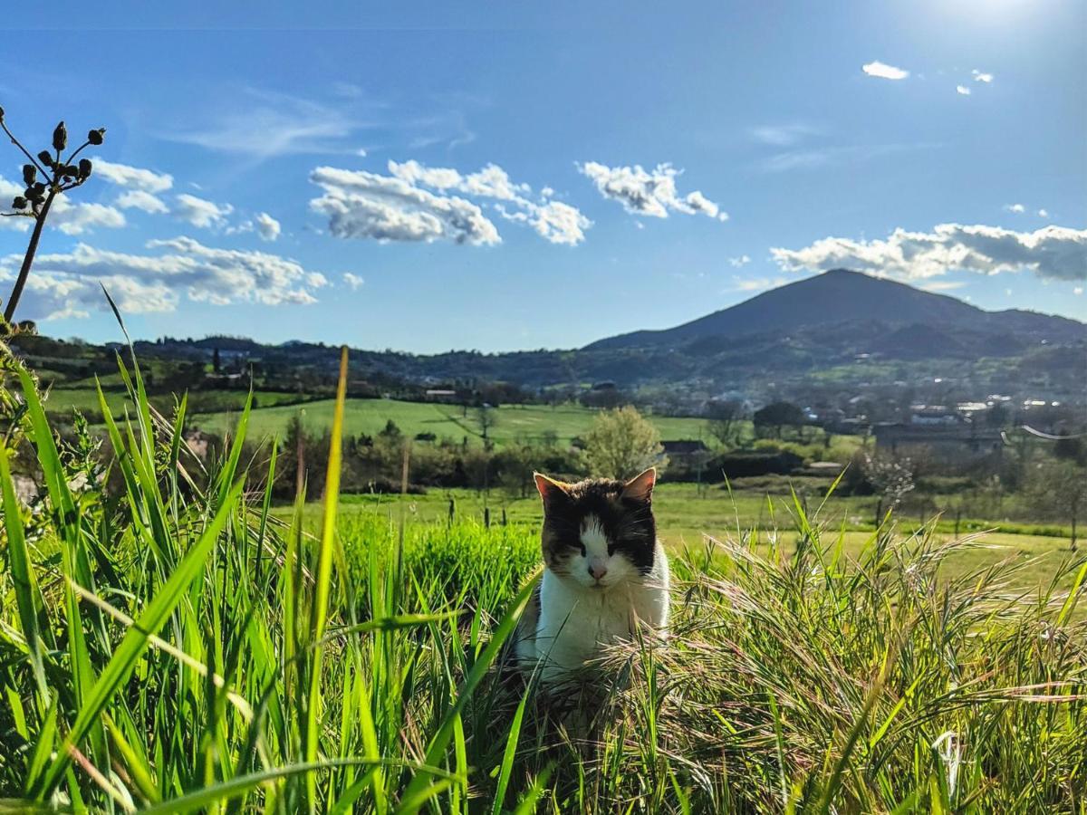 Le Piracante Caiazzo Eksteriør bilde